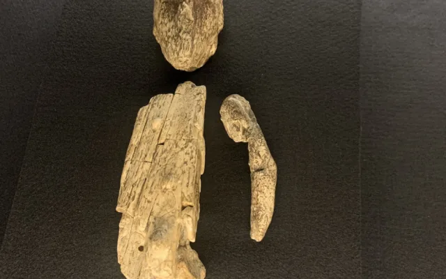 Výstava v Brně ukáže pravěké šperky nebo Věstonickou venuši