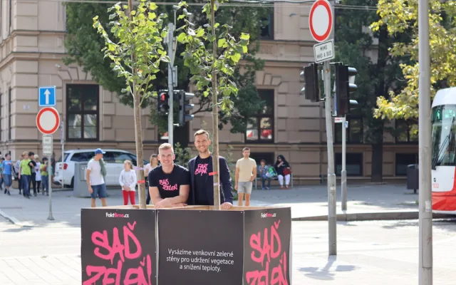 Stromy v ulicích - Do ulic místo billboardů rozmístili stromy, které zasází v Technologickém parku.