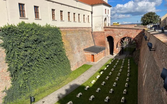 V Brně vystavili psí těla bez hlav. Armáda soch hlídá Špilberk