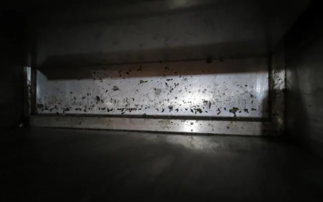 Na hlavním tahu z Brna na Svitavy zavřeli beznínku. Kálely tam myši