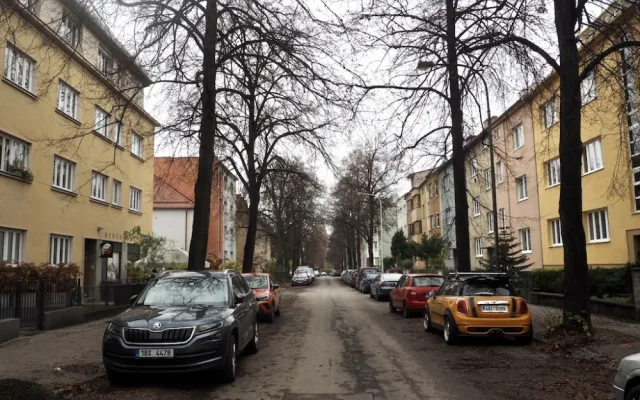 V Brně vykácí stoletou lipovou alej. Nemáme na výběr, hlásí město