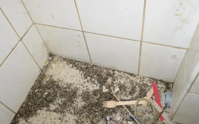 Vyhlášená indická restaurace v Brně byla plná špíny a myších výkalů