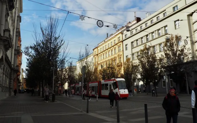 Brno se obléká do vánočního. Ulice města zaplavily girlandy ve tvaru sněhových vloček
