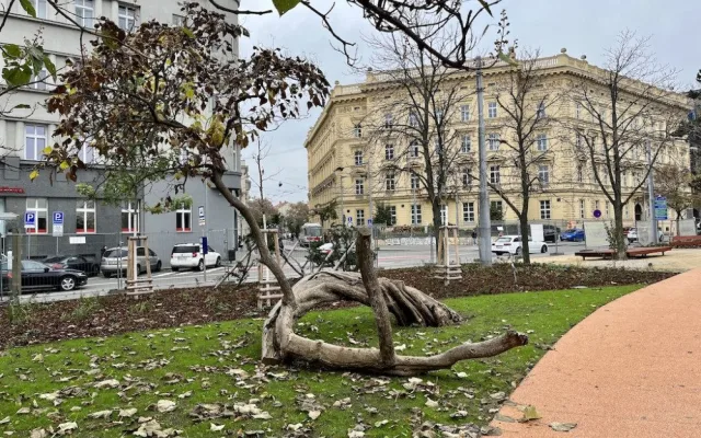 Moravské náměstí v Brně má po rekonstrukci. Chystá se otevíračka