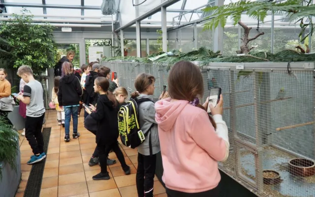 Do brněnské botanické zahrady přilétli tropičtí ptáci. K vidění jsou i morčata a další exotická zvířata