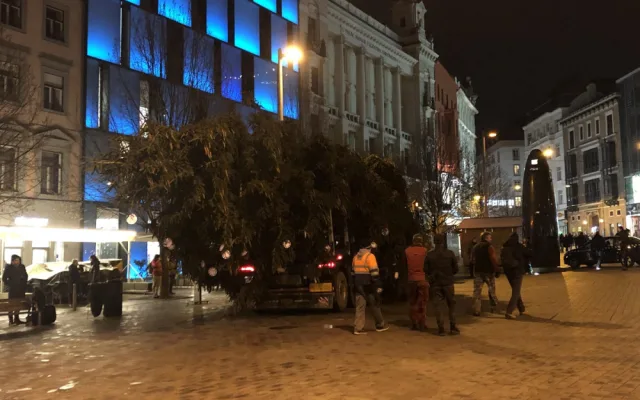 Brno má vysoký vánoční strom. Smrk přijel na náměstí Svobody autem