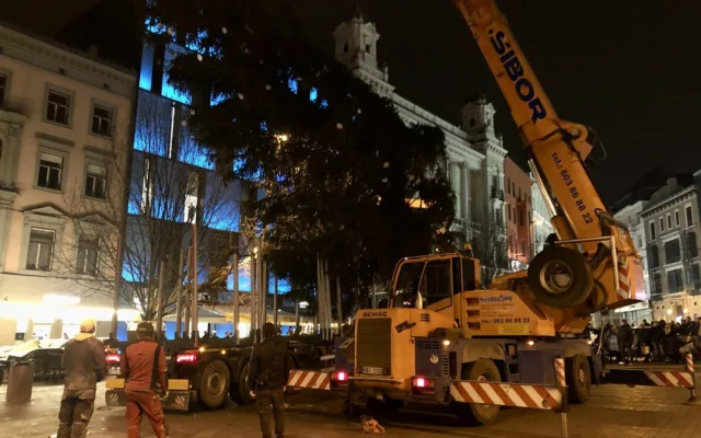 Brno má vysoký vánoční strom. Smrk přijel na náměstí Svobody autem