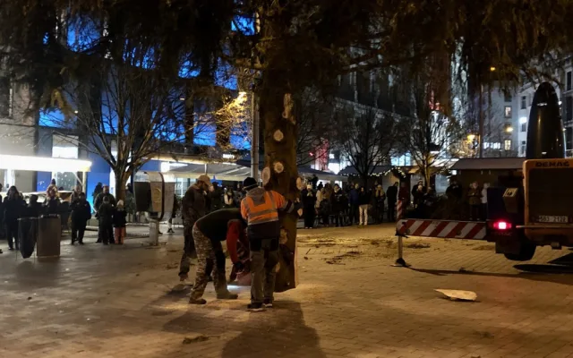 Brno má vysoký vánoční strom. Smrk přijel na náměstí Svobody autem