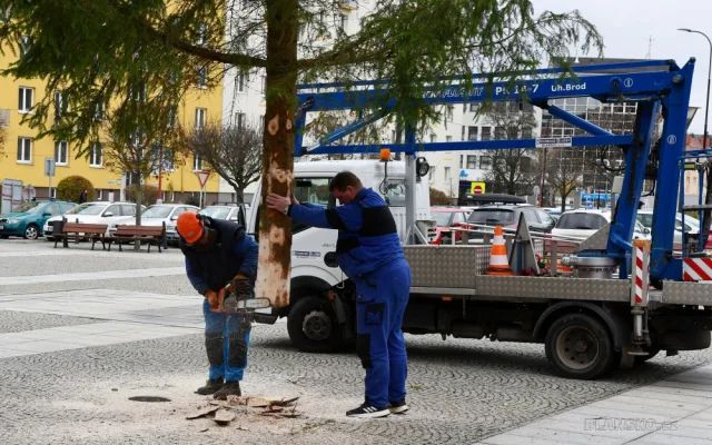 Je to koště, stěžují si lidé v Blansku na vánoční strom. Přidává se i starosta