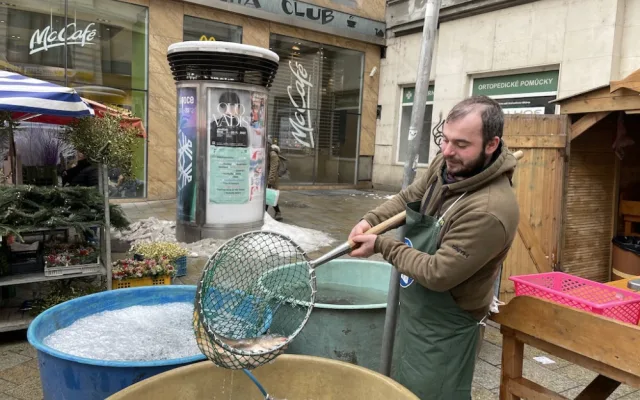 Do Brna připlavali vánoční kapři. Lidé si za ryby připlatí