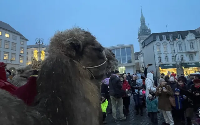 Brnem pochodovali velbloudi. Došlo až před radnici