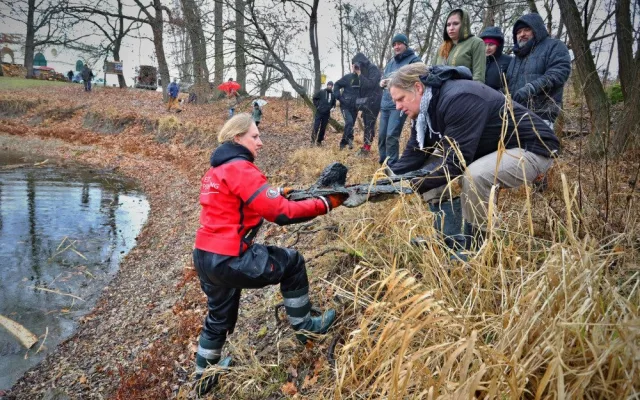 Řeka Dyje vydala vzácný nález. Archeologové vytáhli plavidlo z raného novověku