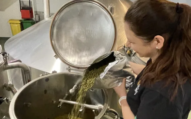 Na Starém Brně s předstihem vaří zelený pivo. Výrobu barevného moku poprvé řídí žena