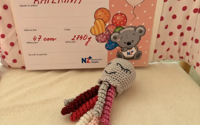 Lékaři našli ve znojemském babyboxu Kačenku. Byla zabalená do trička