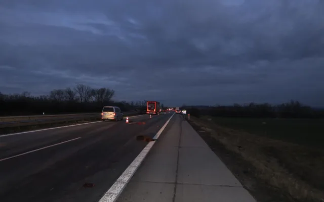 Na dálnici u Brna vběhlo stádo divokých prasat. Způsobilo hromadnou nehodu