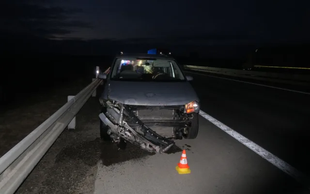 Na dálnici u Brna vběhlo stádo divokých prasat. Způsobilo hromadnou nehodu