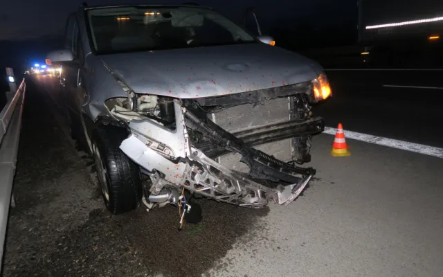 Na dálnici u Brna vběhlo stádo divokých prasat. Způsobilo hromadnou nehodu