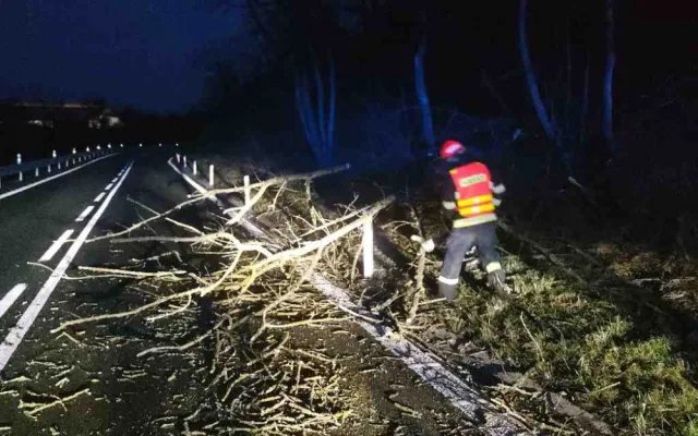 Popadané stromy i rozbité střechy. Hasiči uklízejí jižní Moravu po silném větru