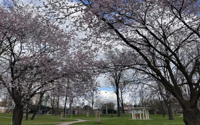 Královo Pole otevřelo park