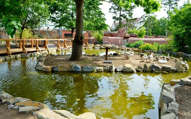 Kachny ve vyškovském ZOO Parku se dočkaly nových jezírek