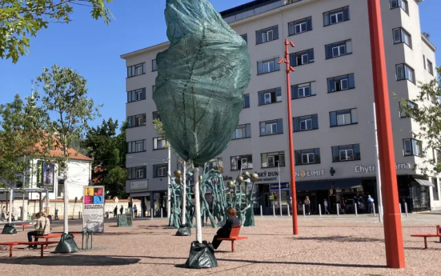 Nové stromy na brněnském Mendlově náměstí usychají. Pomoci mají ochranné sítě