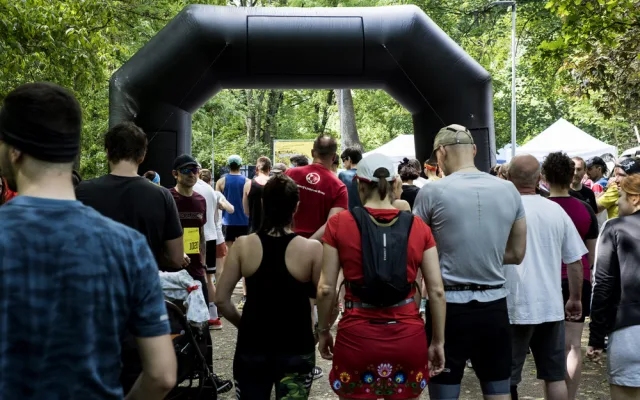  Komu se nelení, tomu se zelení. Město Brno opět spouští dotace