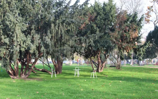 Brno má nejlepší park v Česku. Moravské náměstí s mořem uchvátilo odborníky