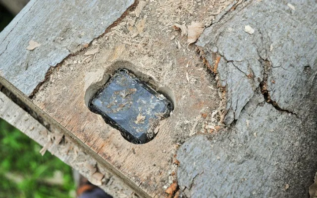 GPS trackery v pokácených stromech.