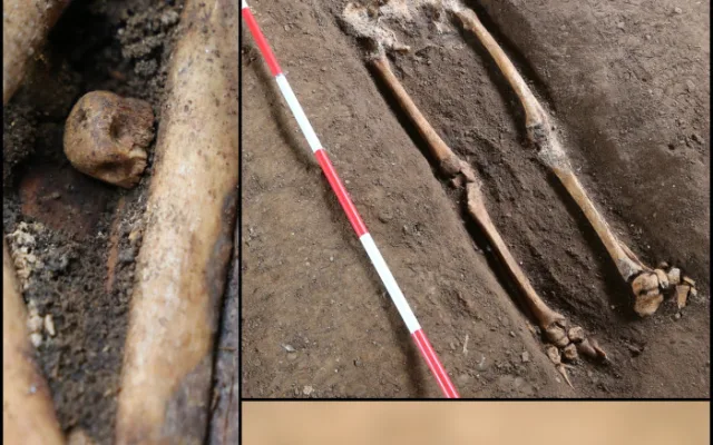 Archeologové přišli s postřehem. Lidi na jižní Moravě napadala zákeřná infekce