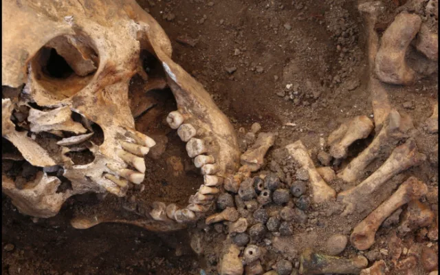 Archeologové přišli s postřehem. Lidi na jižní Moravě napadala zákeřná infekce