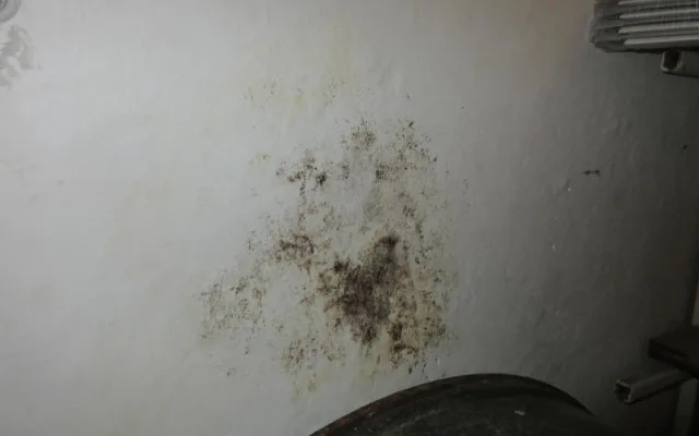 Slavná brněnská cukrárna utrpěla ostudu. Jste bordeláři, slyšeli od inspekce