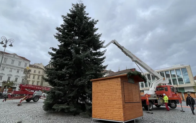 Brněnský Zelný trh zdobí vánoční jedle. Na konkurenta z náměstí Svobody se čeká