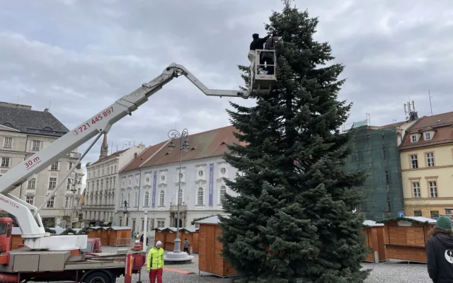 Brněnský Zelný trh zdobí vánoční jedle. Na konkurenta z náměstí Svobody se čeká
