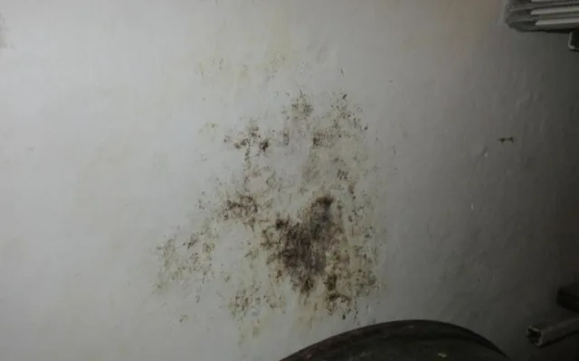 Jsou to poklady, a ne svinčík, brání se brněnská kavárna, kterou zdrbali potravináři