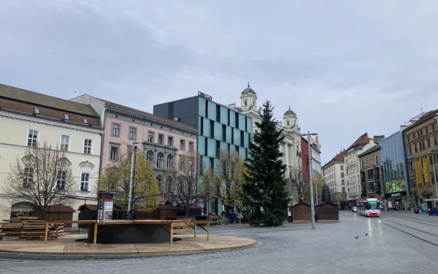 Brno se dočkalo. Na náměstí Svobody lidé obdivují vánoční jedli