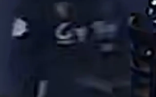 pátrání