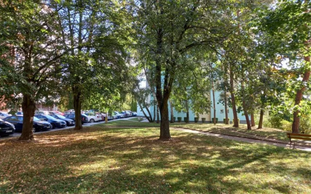 Lidé v Blansku chtějí nový park z místa, kam chodí pejskaři