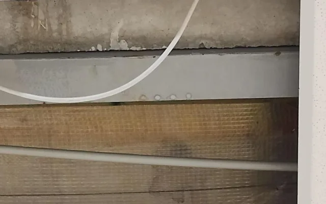 Inspekci ve znojemském Lidlu zarazily kbelíky na vodu. Stály mezi rajčaty