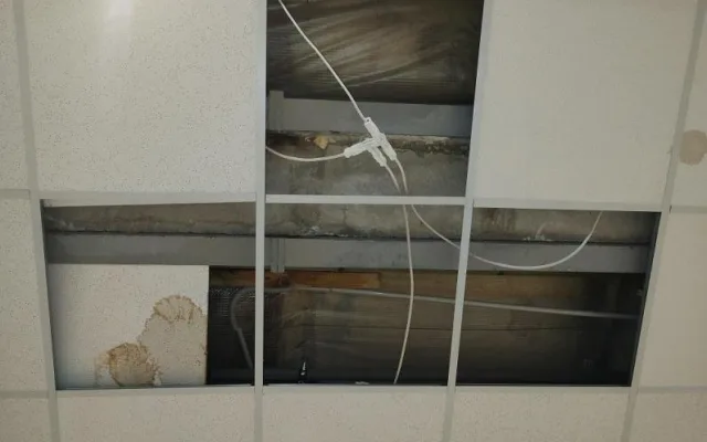 Inspekci ve znojemském Lidlu zarazily kbelíky na vodu. Stály mezi rajčaty
