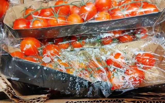 Inspekci ve znojemském Lidlu zarazily kbelíky na vodu. Stály mezi rajčaty