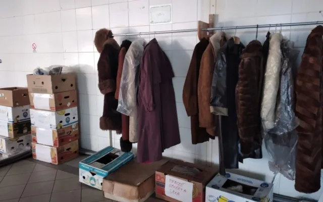 Do brněnského centra lidé nosí porcelán po babičce i vzácné dokumenty. Poklady putují do muzeí nebo potřebným