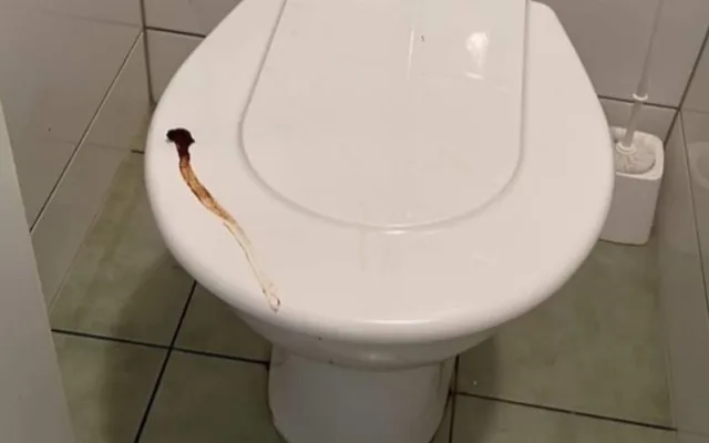 Na brněnském gymnáziu řádí Záchodový fantom. Toalety od fekálií prezentuje jako umělecká díla