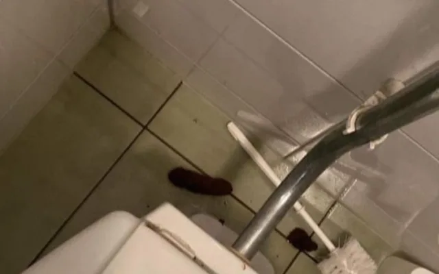 Na brněnském gymnáziu řádí Záchodový fantom. Toalety od fekálií prezentuje jako umělecká díla