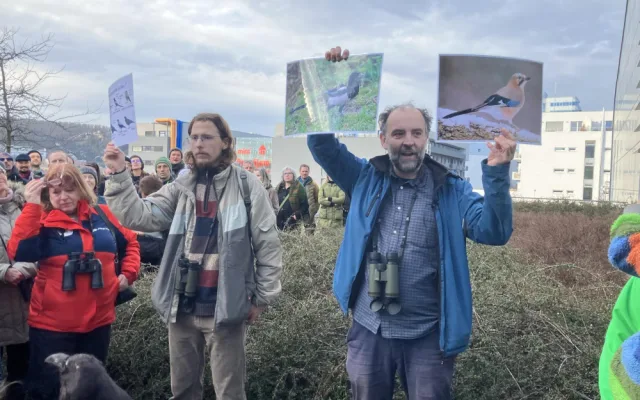 Brňané pozorovali přelety ptactva nad Brnem. Zimní nocoviště krkavcovitých ohrožuje plánovaná stavba lanovky