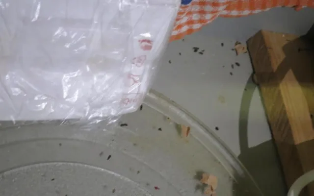 Inspektoři objevili v restauraci na Vyškovsku myší trus. Hlodavci prokousali obaly potravin