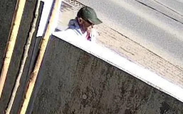 VIDEO: Kamery zachytily muže, jak krade nářadí. Pátrá po něm policie