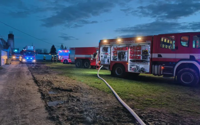 Požár zasáhl chov prasat. Prasnice i selata, kterých bylo v objektu skoro pět set, jsou v pořádku