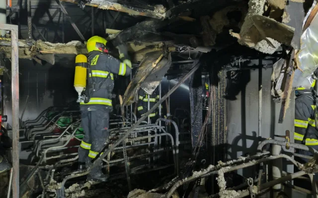 Požár zasáhl chov prasat. Prasnice i selata, kterých bylo v objektu skoro pět set, jsou v pořádku
