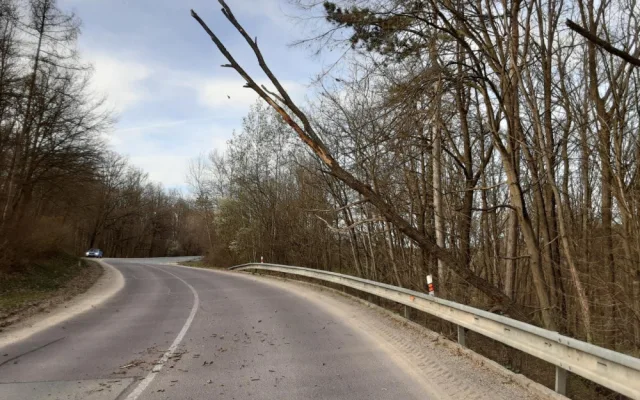 Hasiče v Brně a okolí zaměstnal silný vítr. Řešili desítky událostí