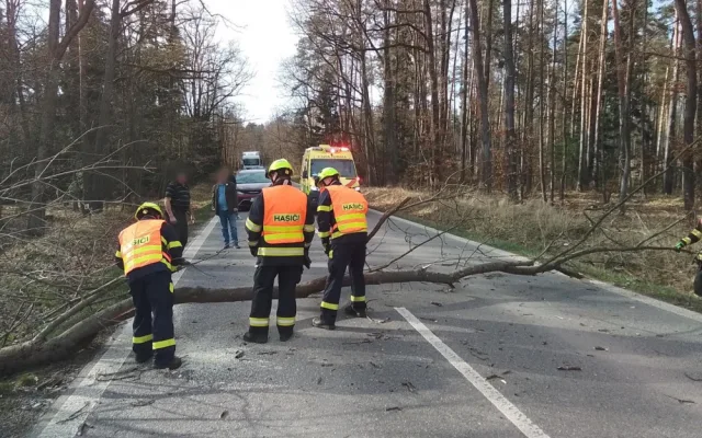 Hasiče v Brně a okolí zaměstnal silný vítr. Řešili desítky událostí